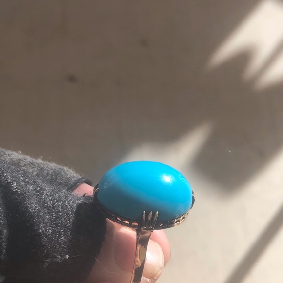 Meet your Posher, Leila - Picture 9 of 11